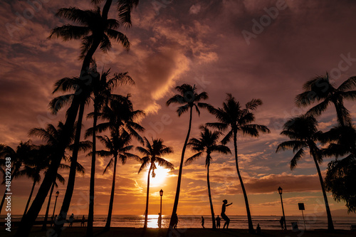 Hawaii Sunset Palm Tree Silhouette with Slackliner