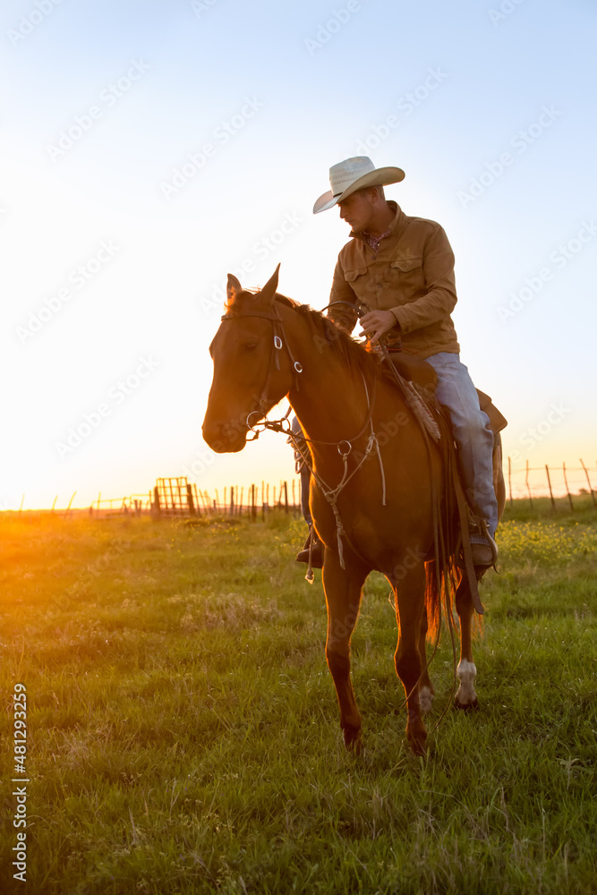 Cowboy on horseback preparing to round up cattle on the ranch at sunrise 