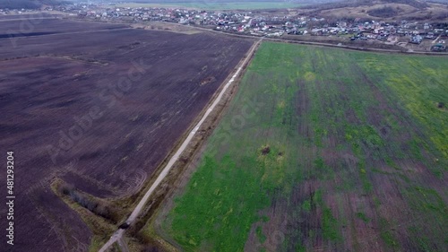 Wallpaper Mural проселочная дорога среди полей Torontodigital.ca