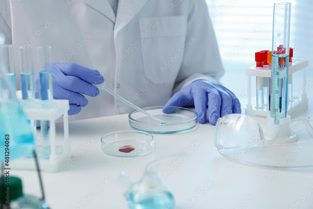 Scientist dripping sample into Petri dish in laboratory, closeup. Medical research Scientist dripping sample into Petri dish in laboratory, closeup. Medical research