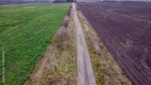 Wallpaper Mural проселочная дорога среди полей Torontodigital.ca