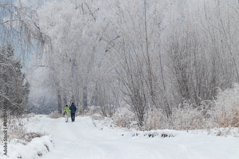 Winter landscape: a couple, a man and a woman walk along a road in a forest surrounded by trees covered with snow