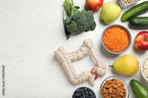 Fototapeta Naklejka Na Ścianę i Meble -  Anatomical model of large intestine and different organic products on white wooden background, flat lay. Space for text