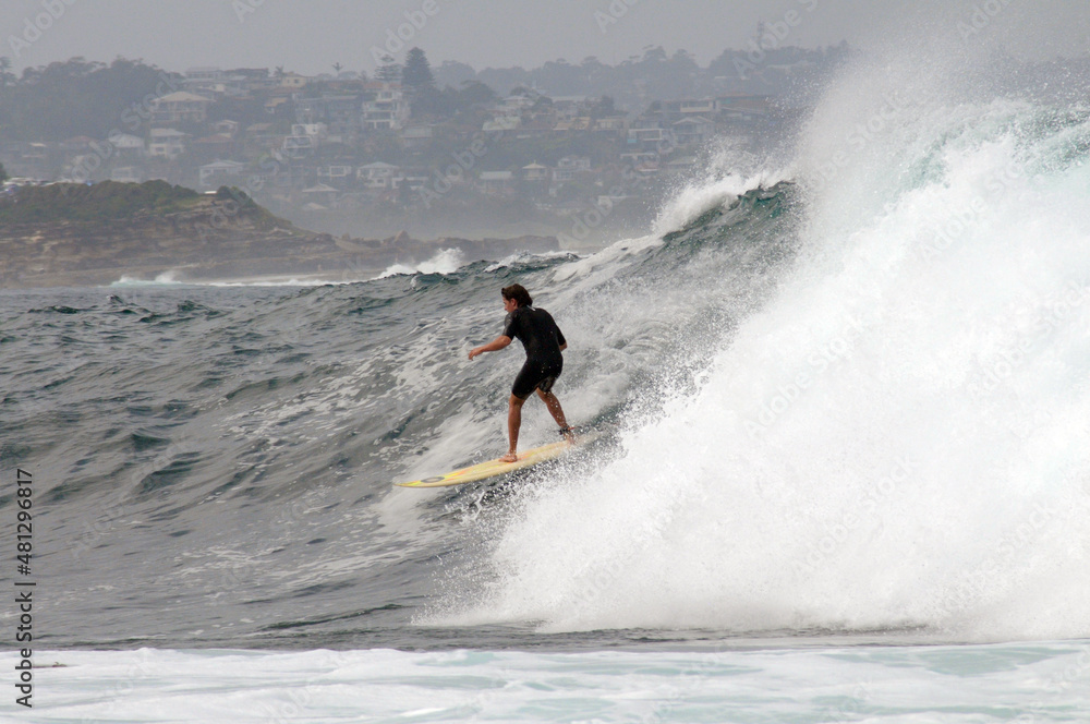 surfer in action at Fairy Bower in Sydney, Australia surfer in action at Fairy Bower in Sydney, Australia