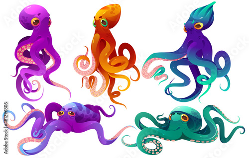 Foto Cartoon octopuses sea animals, underwater ocean creatures with colorful skin and long tentacles