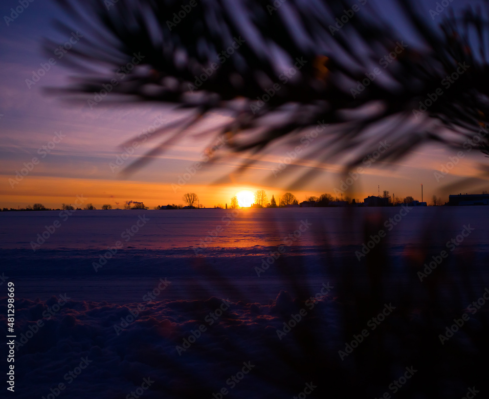 A beautiful winter sunrise scenery with tree branches. Snowy landscape of Northern Europe.