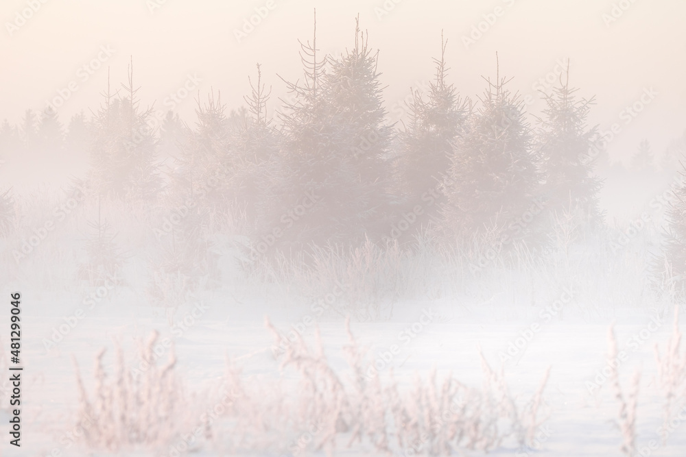 A beautiful, misty winter sunrise in the country in pastel tones. Bright snowy landscape of Norther Europe. A beautiful, misty winter sunrise in the country in pastel tones. Bright snowy landscape of Norther Europe.