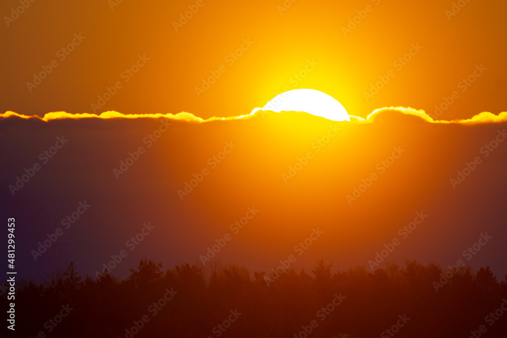Obraz premium A beautiful winter landscape with rising sun in Northern Europe. Snowy scenery with golden light.