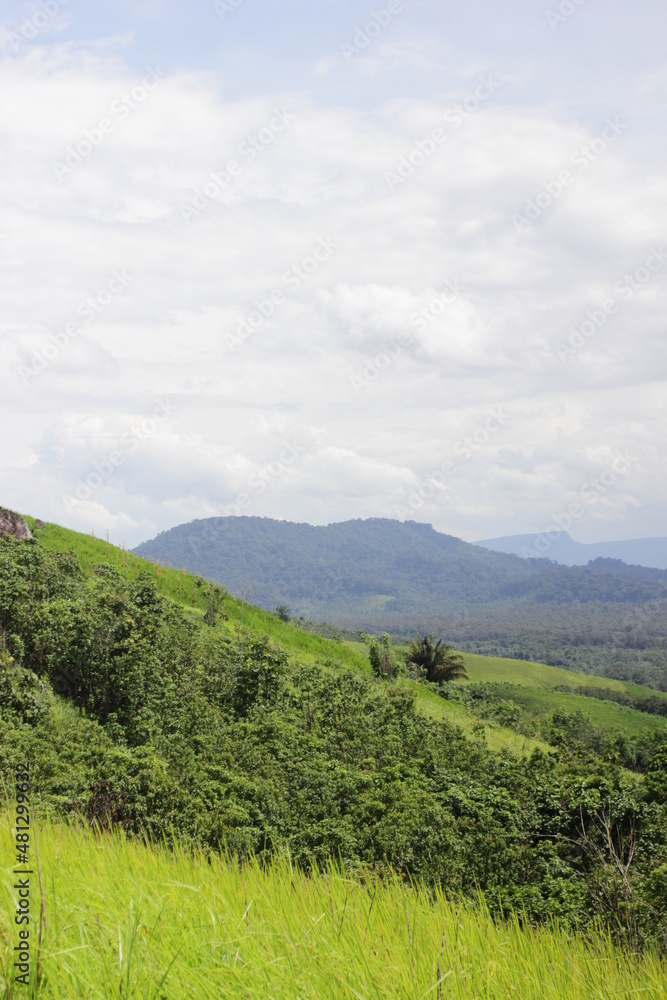 Naklejka premium landscape with green hills and blue sky