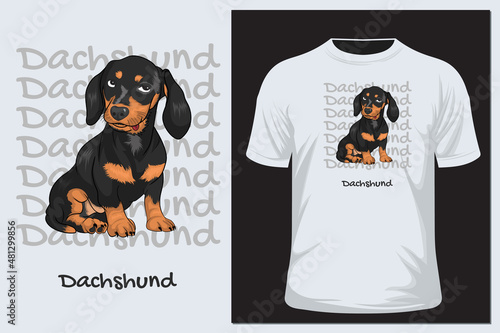 A Dachshund dog t-shirt design. Poster and sticker vector illustration.