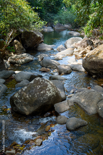 rock stone and stream in forest