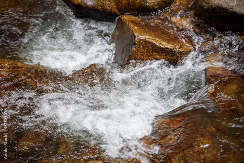 rock stone and stream in forest