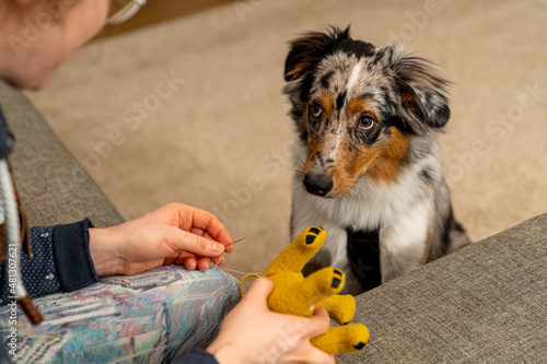 Dog waiting impatiently to get his broken toy fixed