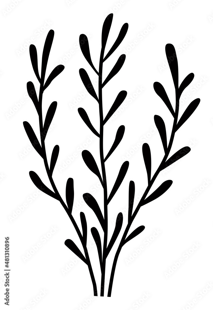 Twigs with leaves, decorative silhouettes of plants, algae, lichens, ears for decoration Twigs with leaves, decorative silhouettes of plants, algae, lichens, ears for decoration