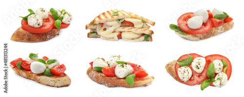 Delicious bruschettas and sandwiches with mozzarella, tomatoes and basil, collage. Banner design