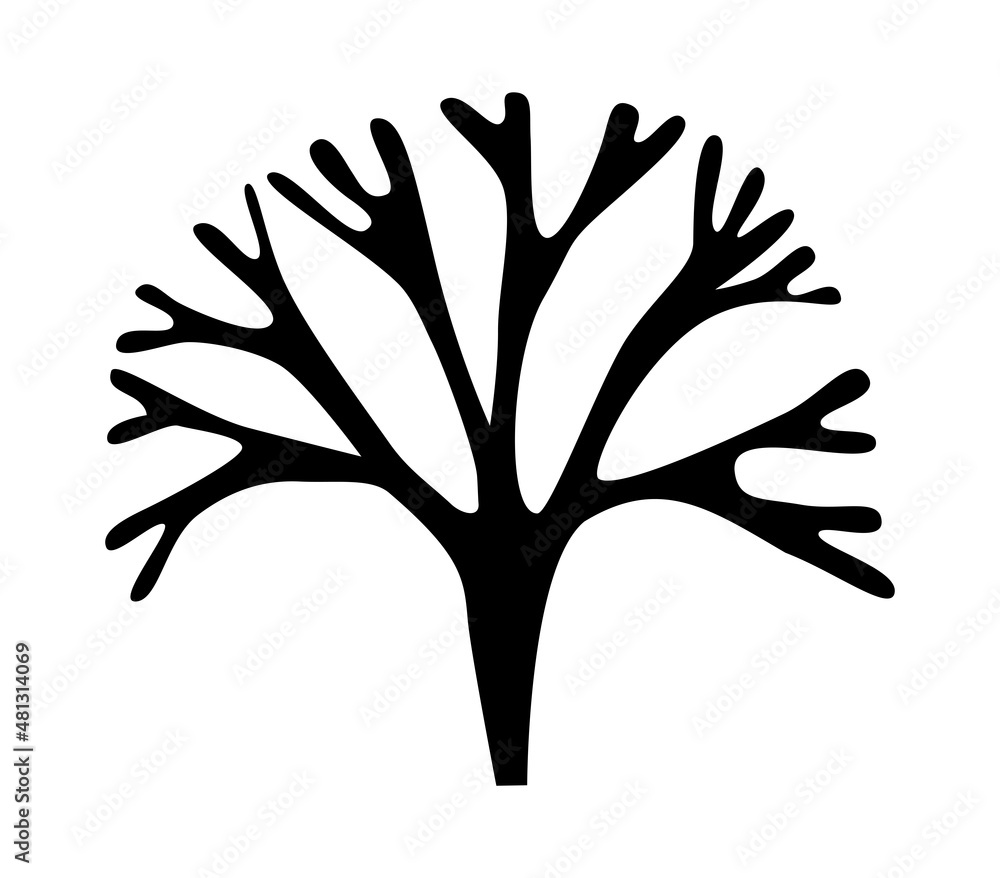 Seaweed branch silhouette outline for logo Seaweed branch silhouette outline for logo