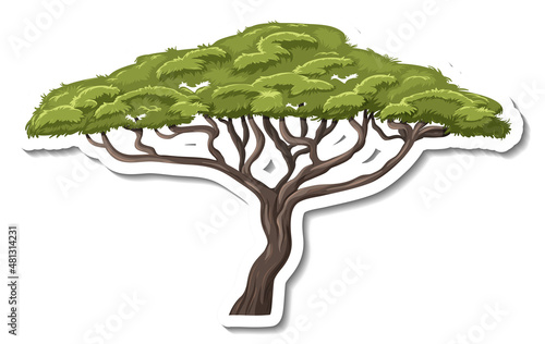 Isolated monkey pod tree in cartoon style