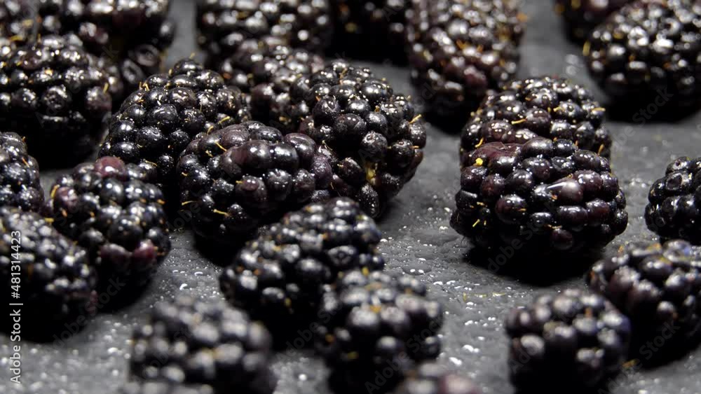 Fresh blackberries rotation background. Close up Fresh blackberries rotation background. Close up