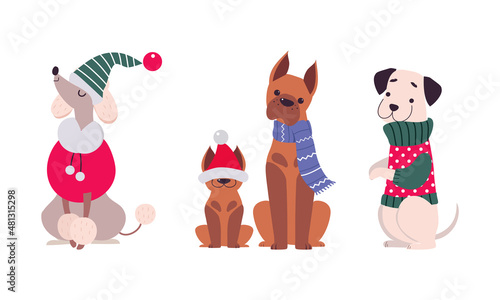 Cute Dogs of Different Breed Dressed in Christmas Ugly Sweater and Scarf Vector Set