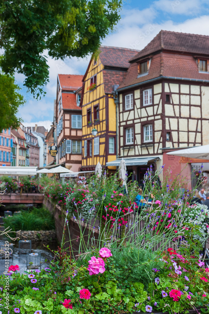Flower beds along the city canal in the center of the medieval city of Colmar. Floral decoration of an ancient city. Alsace, France