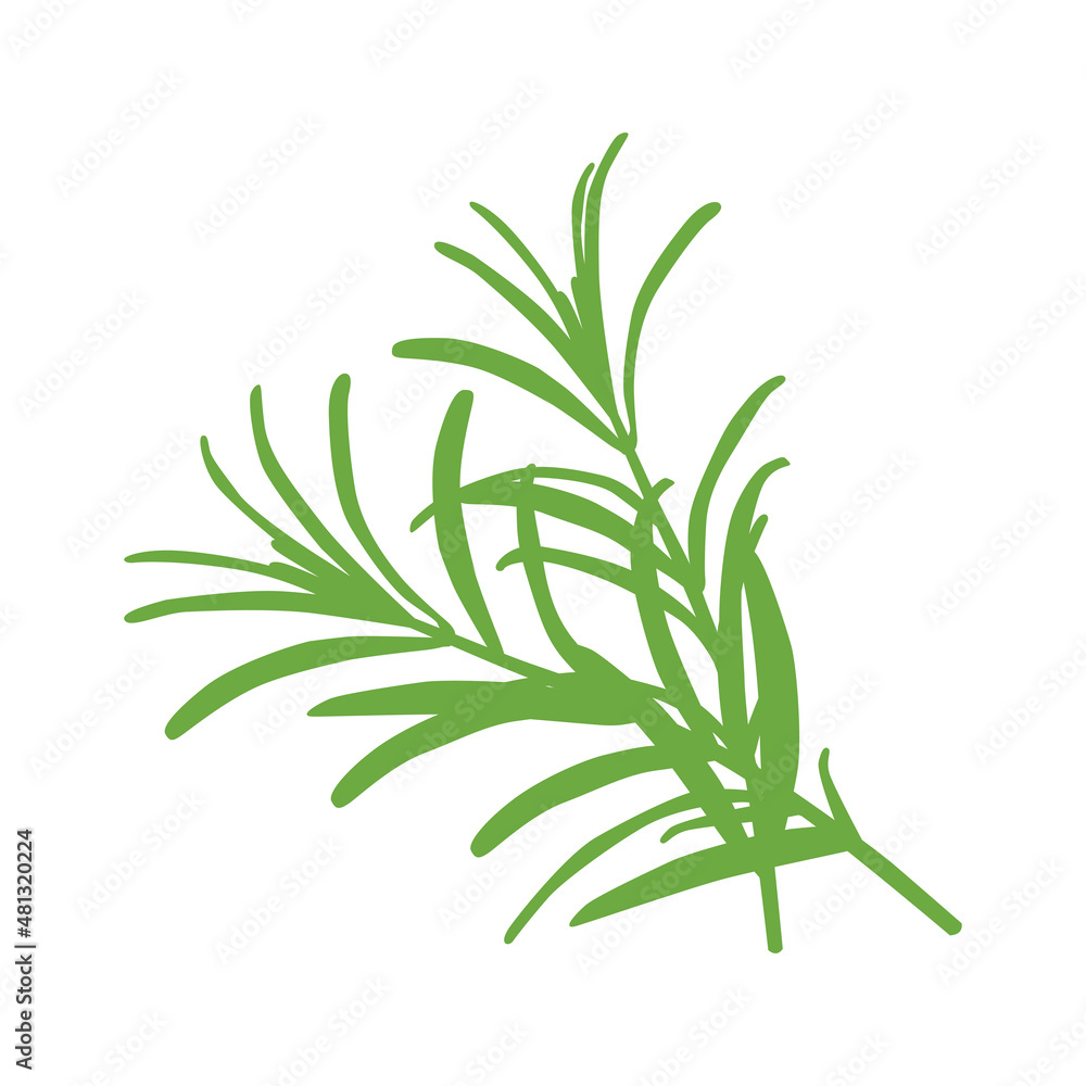 Fototapeta premium The silhouette of two rosemary sprigs folded together. A delicious and healthy seasoning, widely used in the preparation of a variety of dishes. Vector illustration isolated on a white background.