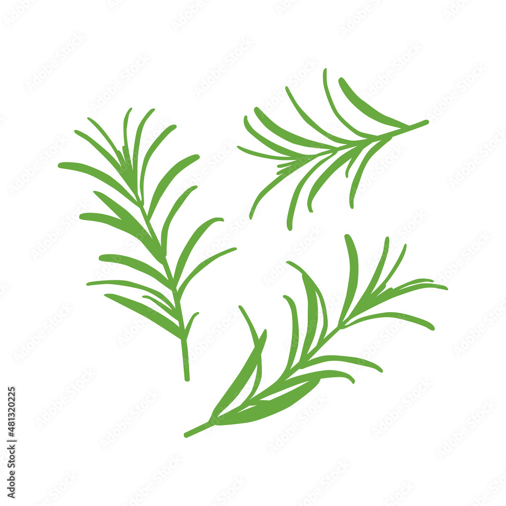 Obraz premium Silhouettes of three sprigs of rosemary. Black silhouette of chili pepper with flame. Seasoning for cooking a variety of dishes. Vector illustration isolated on a white background for design and web.