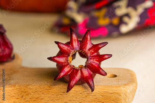 Roselle red subshrub plant (Hibiscus sabdariffa). Tropical flower, used to make infusion and juice photo