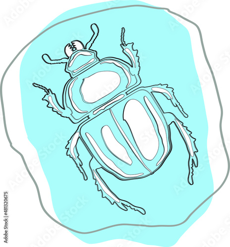 beetle in the technique of freehand drawing on a blue shapeless spot