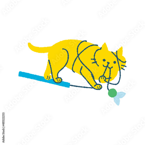 おもちゃで遊ぶ猫