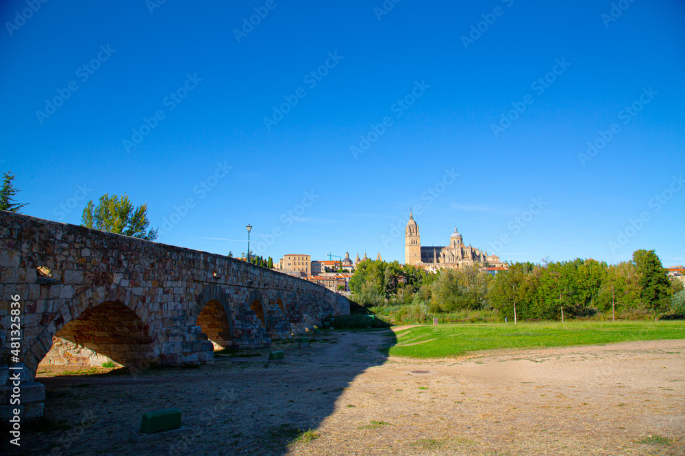 Parque y puente romano con Catedral de fondo en Salamanca