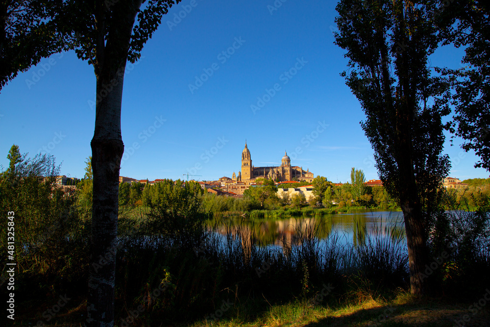 vista de la ciudad de Salamanca en España con río en primer plano vista de la ciudad de Salamanca en España con río en primer plano