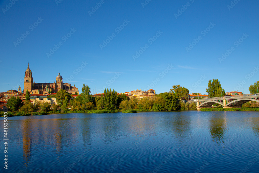 vista de la ciudad de Salamanca en España con río en primer plano