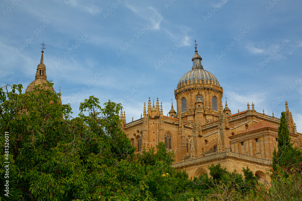Fototapeta premium Vista de catedral de Salamanca, fachadas y detalles de trabajo en piedra