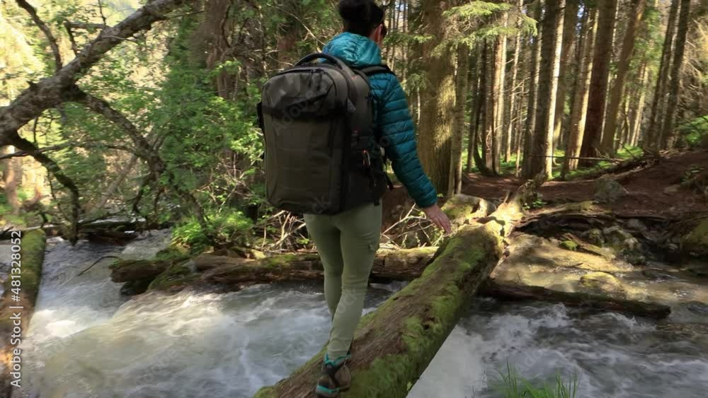 Hiking woman walk with a hiking backpack in spring green forest Hiking woman walk with a hiking backpack in spring green forest