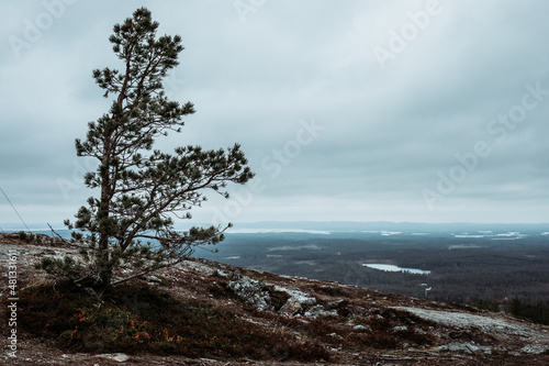 Northern finland kuusamo, ruka photo