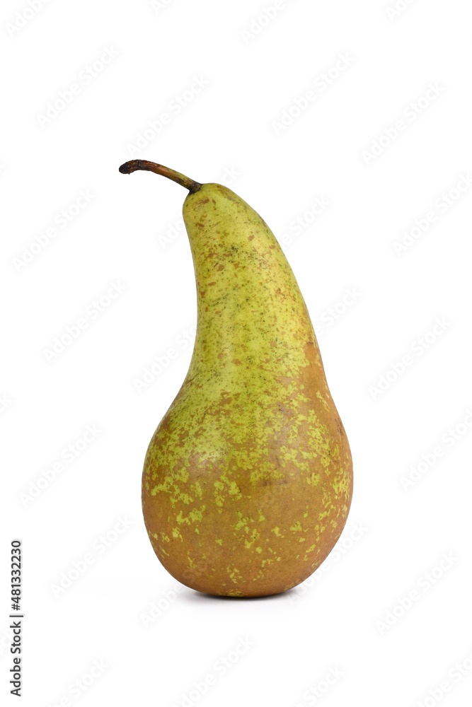 Single raw green pear fruit on white background Single raw green pear fruit on white background