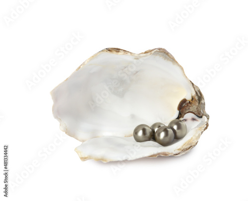 Open oyster shell with black pearls on white background