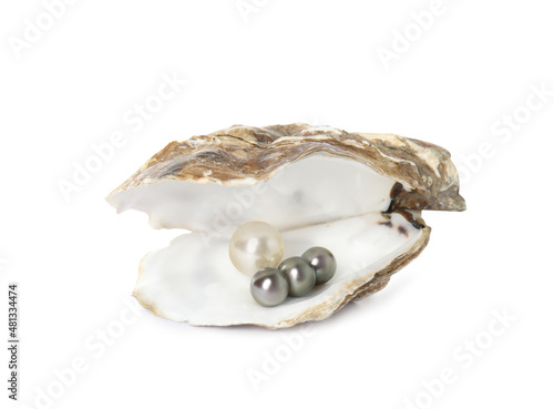Open oyster shell with different pearls on white background