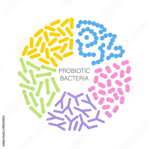 Probiotic bacteria set in circle. Gut microbiota with healthy prebiotic bacillus. Lactobacillus, streptococcus, bifidobacteria and other microorganisms for biotechnology. photo