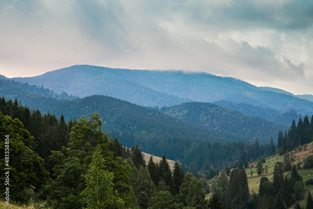Mountain panoramic landscape with trees on a summer overcast day.