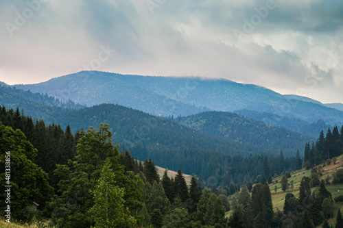 Mountain panoramic landscape with trees on a summer overcast day.