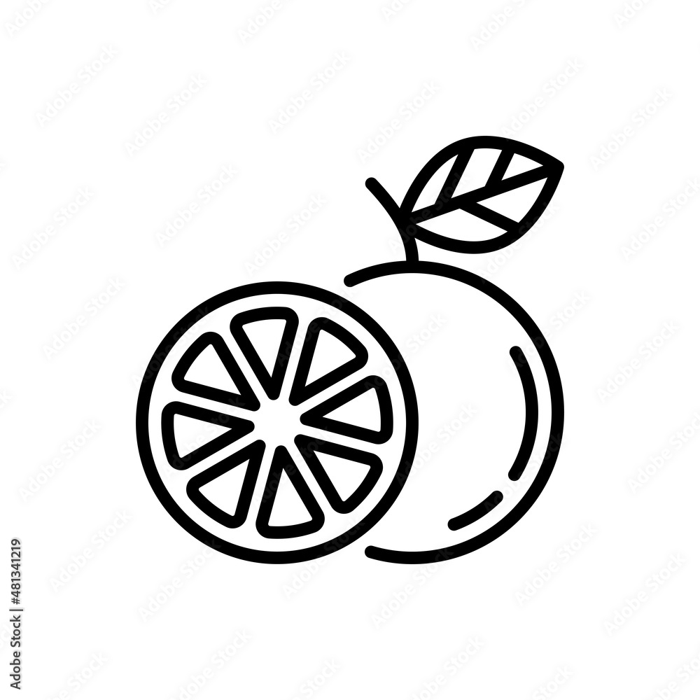 Orange thin line icon. Symbol for juice. Whole and half. Healthy organic food. Vector illustration.