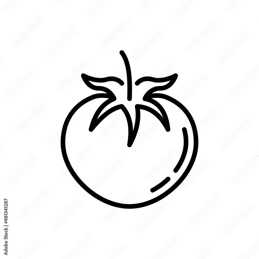 Tomato thin line icon. Vegetarian organic healthy food. Vector illustration. Tomato thin line icon. Vegetarian organic healthy food. Vector illustration.
