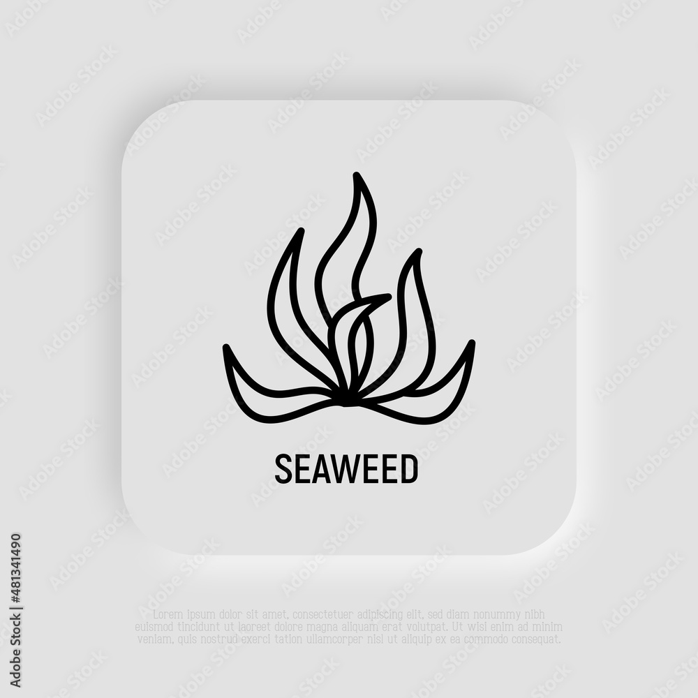 Seaweed, spirulina, algae thin line icon. Mineral nutrition, organic food. Vector illustration. Seaweed, spirulina, algae thin line icon. Mineral nutrition, organic food. Vector illustration.