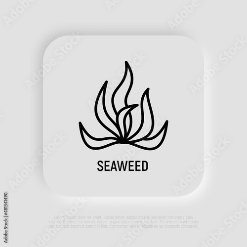 Seaweed, spirulina, algae thin line icon. Mineral nutrition, organic food. Vector illustration.