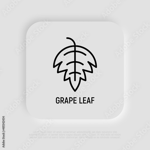 Grape leaf thin line icon. Modern vector illustration for wine logo.