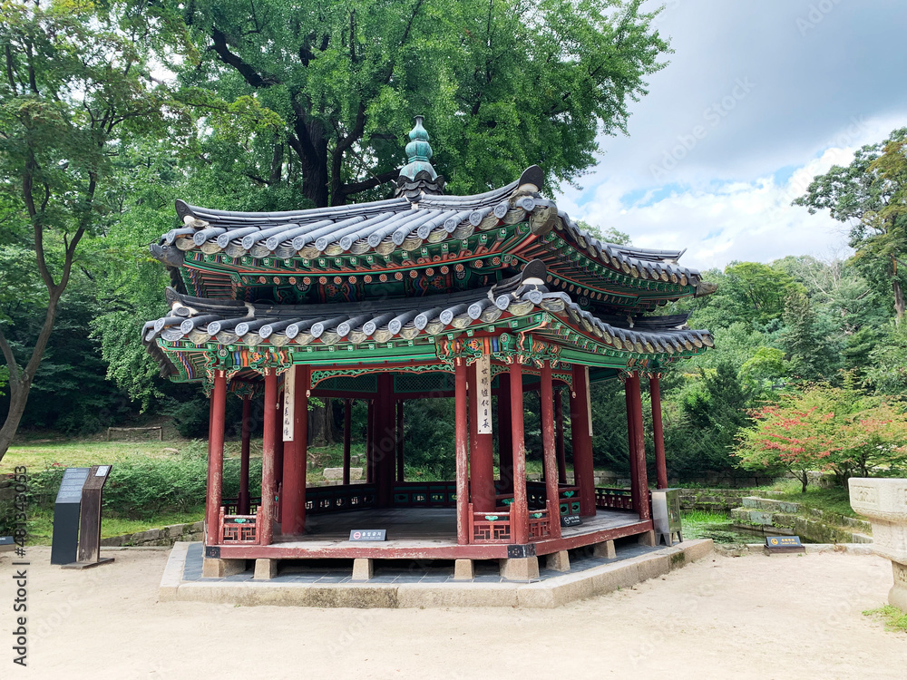 한국 서울 창덕궁 안의 비원 풍경 / Biwon Scenery in Changdeokgung Palace, Seoul, Korea 한국 서울 창덕궁 안의 비원 풍경 / Biwon Scenery in Changdeokgung Palace, Seoul, Korea