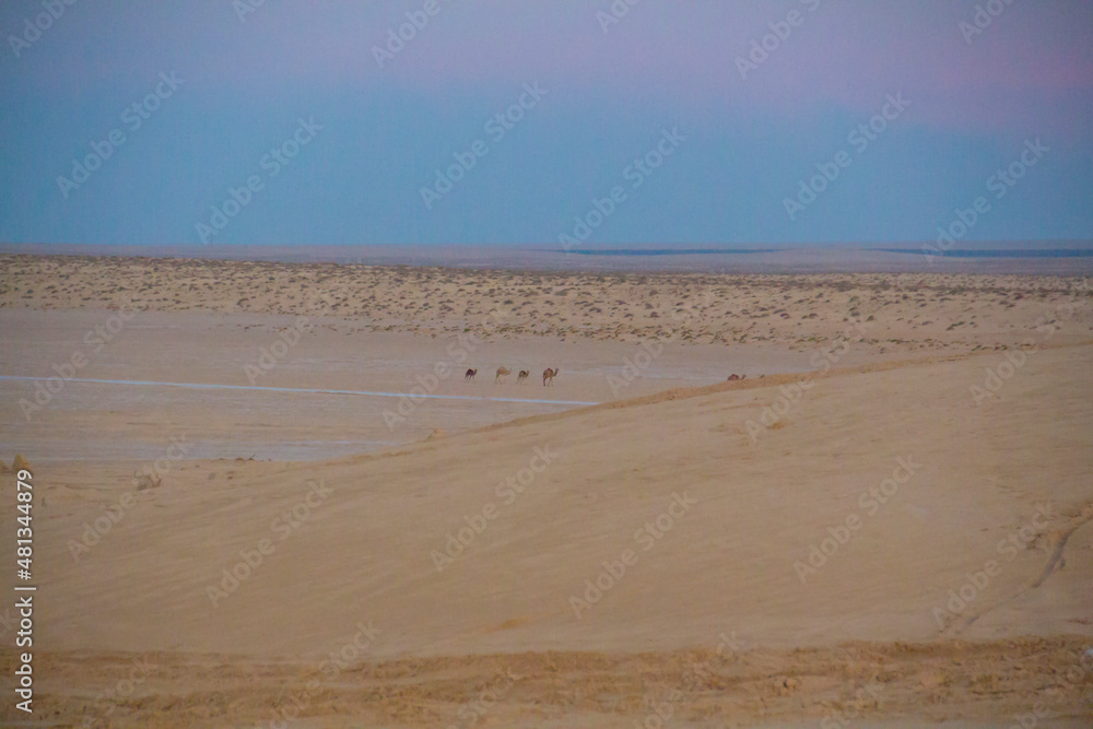 The Sahara Desert in Tunisia.