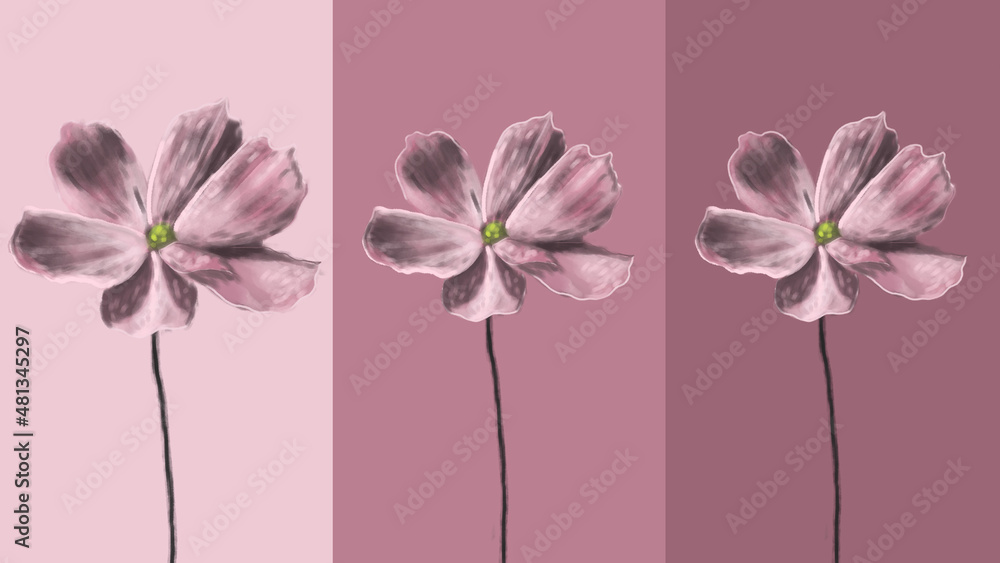 Obraz premium pink background with flowers painting