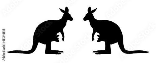 Mama kangaroo with baby in her pocket. Australian animals silhouette illustration.